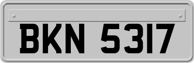 BKN5317