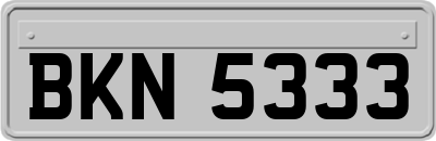 BKN5333