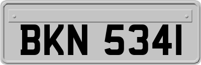 BKN5341