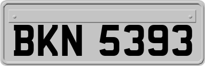 BKN5393