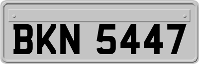 BKN5447