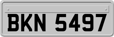 BKN5497