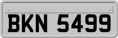 BKN5499