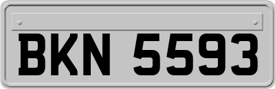 BKN5593