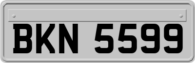 BKN5599