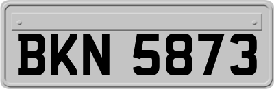 BKN5873