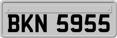 BKN5955