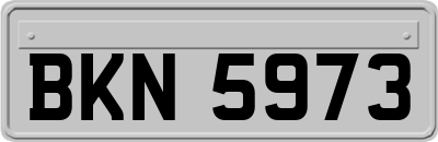 BKN5973