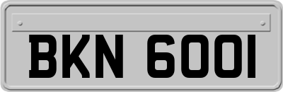 BKN6001