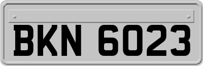 BKN6023