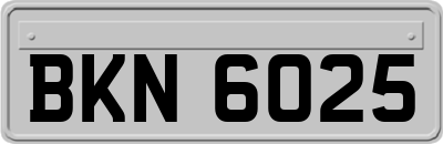 BKN6025