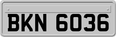 BKN6036