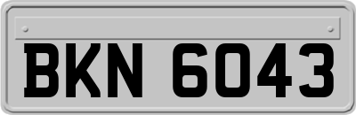 BKN6043