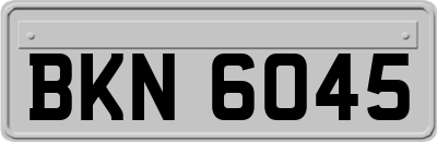 BKN6045
