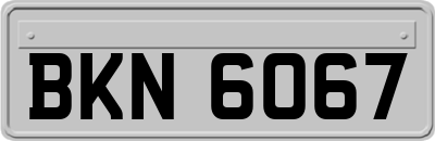 BKN6067