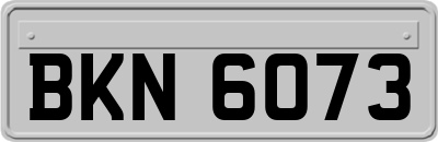 BKN6073