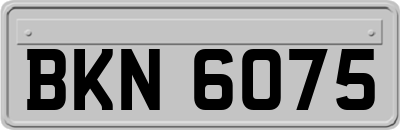 BKN6075