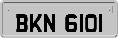 BKN6101