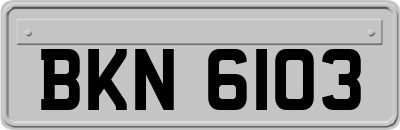BKN6103