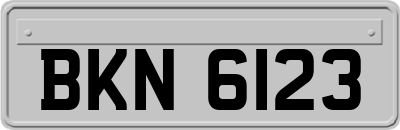 BKN6123