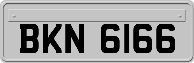 BKN6166