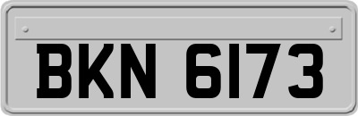 BKN6173