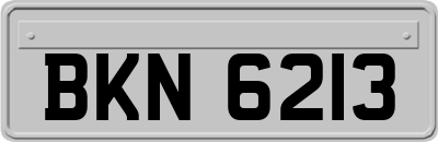BKN6213