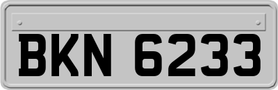 BKN6233