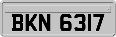BKN6317