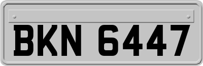 BKN6447