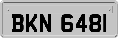 BKN6481