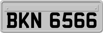 BKN6566