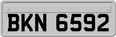 BKN6592