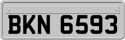 BKN6593