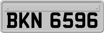 BKN6596