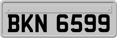 BKN6599
