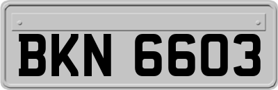 BKN6603