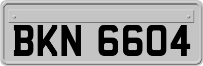 BKN6604