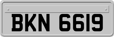 BKN6619