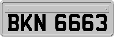 BKN6663