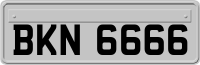 BKN6666