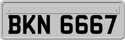 BKN6667