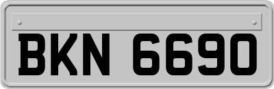 BKN6690