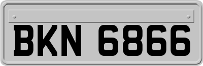 BKN6866
