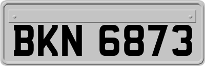 BKN6873