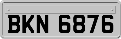 BKN6876