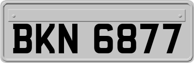 BKN6877