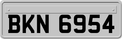 BKN6954