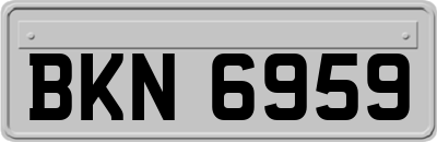 BKN6959