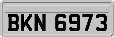 BKN6973